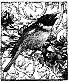 Bird and Cherry Blossom Collage