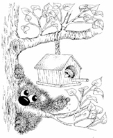 Birdhouse Shy Bear