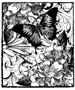 Butterfly Rose Collage
