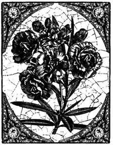 Vintage Carnation Collage
