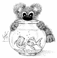 Fish Bowl Shy Bear