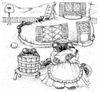 Shoe Shy Bear