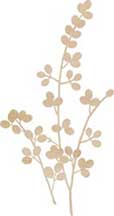 Kaisercraft Wooden Flourishes - Berry Vine