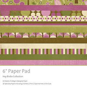 Kaisercraft Hey Birdie 6 x 6 paper