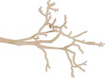 Kaisercraft Wooden Flourishes - Branch