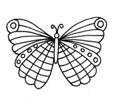 Striped Butterfly
