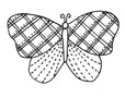 Plaid Butterfly