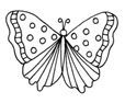 Polka Dot Butterfly