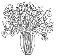 Sweet Peas