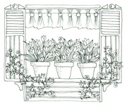 Tulip Window