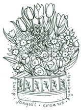 Spring Flowers