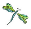 Itty Bitty Dragon Fly