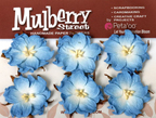 Petaloo - Mulberry Wild Roses - Baby Blue