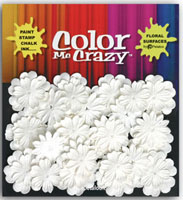 Petaloo - Color Me Crazy Mini Delphiniums