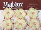 Petaloo - Mulberry Wild Roses - Blush