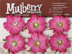 Petaloo - Mulberry Wild Roses - Fushia
