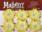 Petaloo - Mulberry Wild Roses - Yellow