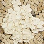 Prima E-Line White Hydrangea
