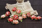 Prima Cameo Roses - Red Orange Hues 538699