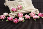 Prima Cameo Roses - Pink Hues 538712