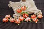 Prima Cameo Roses - Orange Hues 538729