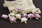 Prima Cameo Roses - Purple Hued 538743