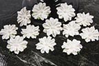 Innoscence Collection - Pearl in the Middle Ruffle Edged