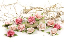 Fairytale Roses - Baby Pink