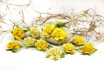 Fairytale Roses - Buttercup
