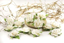 Fairytale Roses - French White