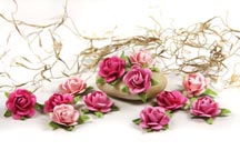 Fairytale Roses - Orchid