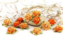 Fairytale Roses - Poppyfield
