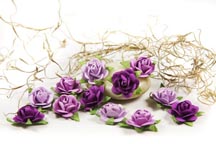 Fairytale Roses - Purple