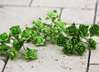 Prima Mini Roses - Apple green Hues 535513