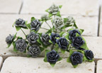 Prima Mini Roses - Cement 535568