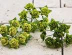 Prima Mini Roses - Lime Hues 535551