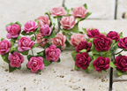 Prima Mini Roses - Pink Hues 535476
