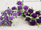 Prima Mini Roses - Purple Hues 535537