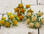 Prima Mini Roses - Yellow Hues 535469